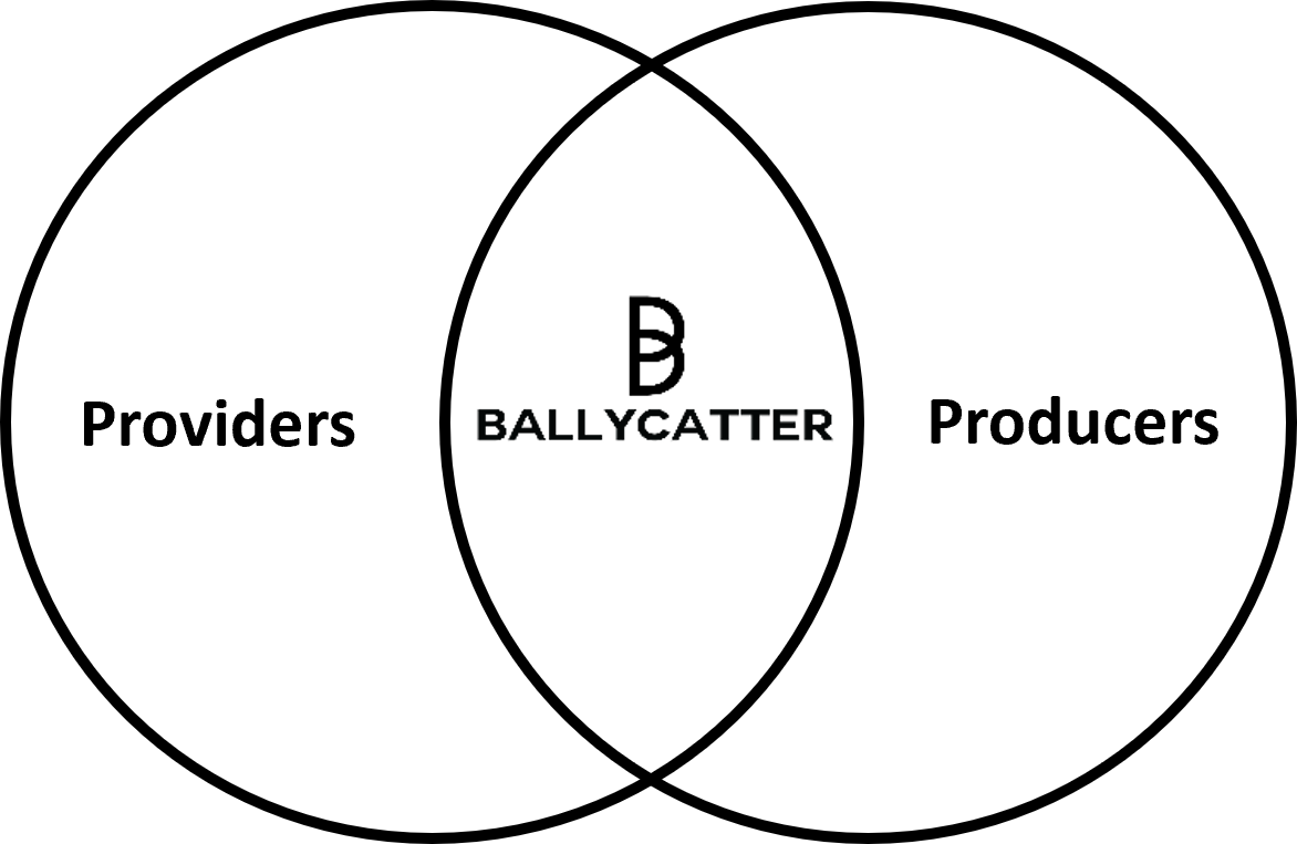 venn diagram circles around vendors and suppliers with a ballycatter polar bear logo in the middle